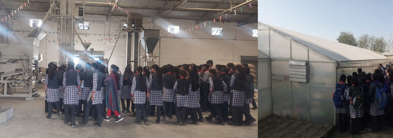 Polyester Check Kendriya Vidyalaya School Uniform Fabric at Rs 38/meter in  Surat